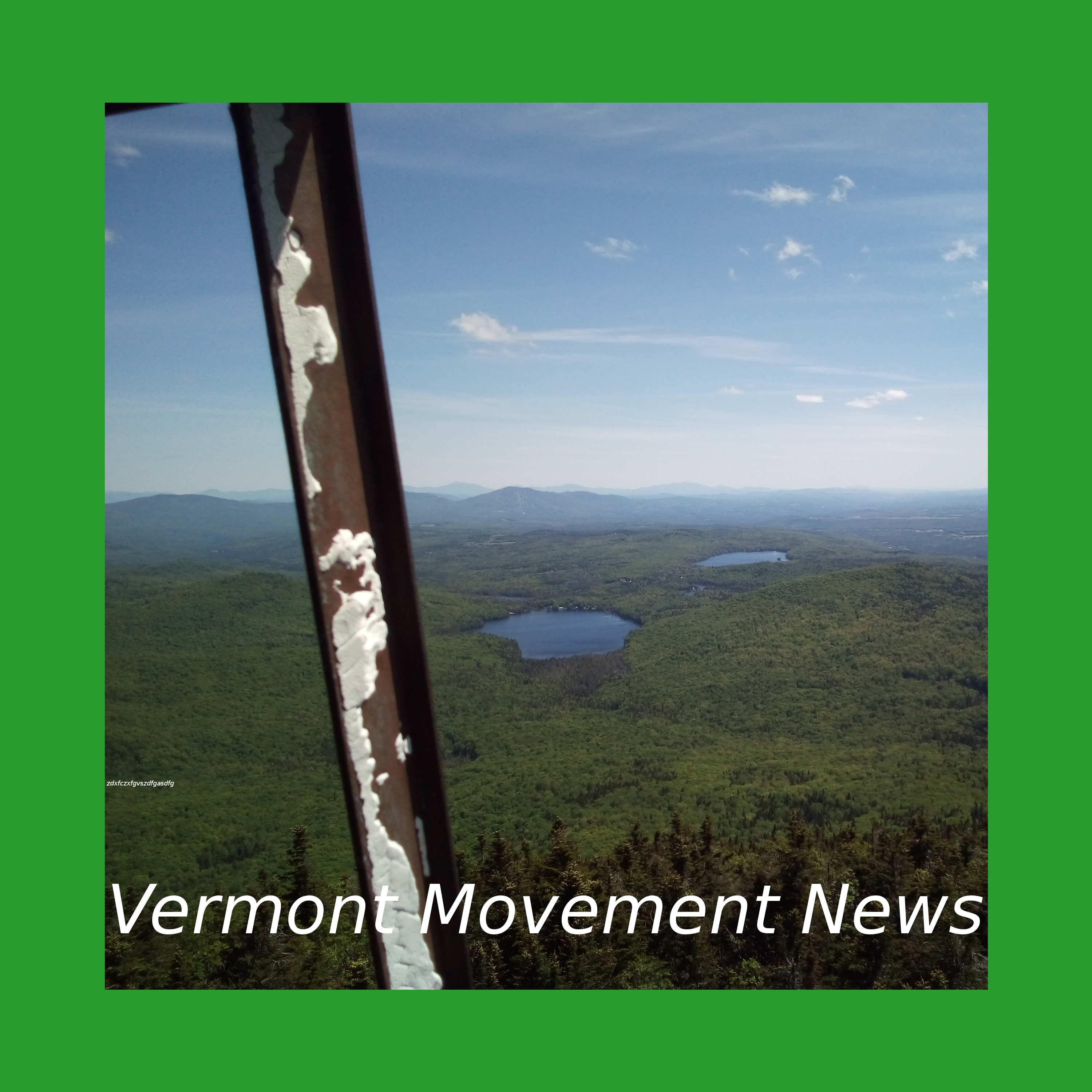 Vermont Movement News